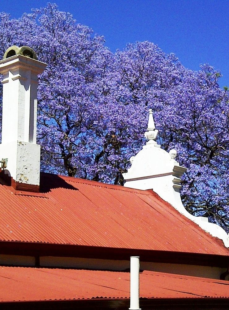 Melvin Residence Guest House Pretoria-Noord Esterno foto