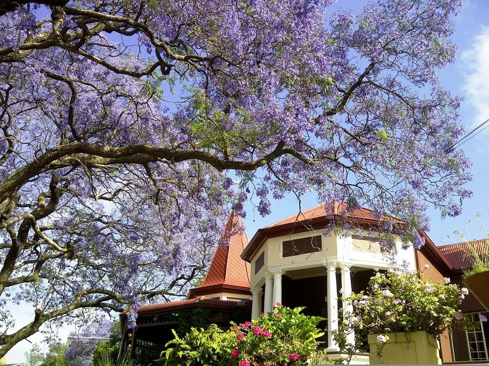 Melvin Residence Guest House Pretoria-Noord Esterno foto